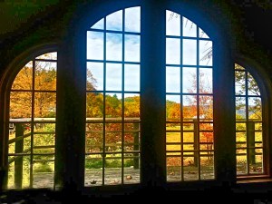 View from Imaginary Roads Studio