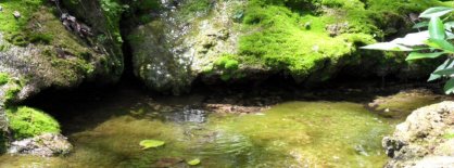 muichi motsu artwork