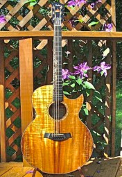 acoustic guitar