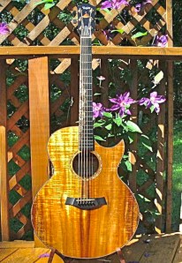 acoustic guitar
