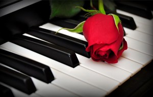 a-rose-on-the-piano-keys