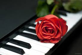 piano and rose