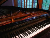 will-piano-5-3501