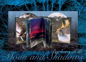 MOON%20&%20SHADOWS.Blue