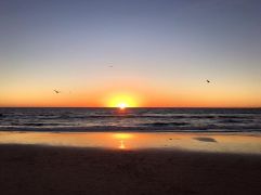 735094_10153883605634703_4033247804279950296_n