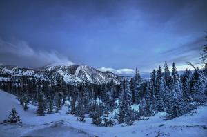 12369060_531889033633774_4287024371874115022_n