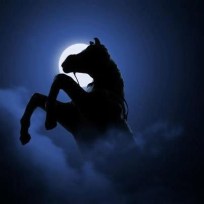 40e8afa73b893243b4b9405495144918