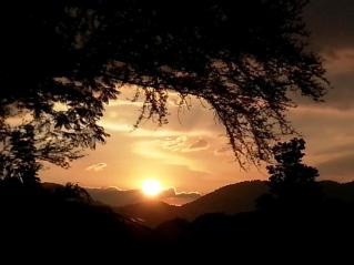 542691_4450955321761_717081186_n