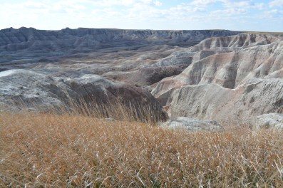 G- Prairie Grass Dance
