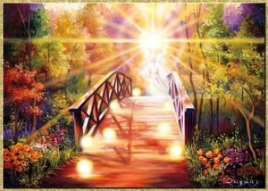 Bridge-toward-the-light