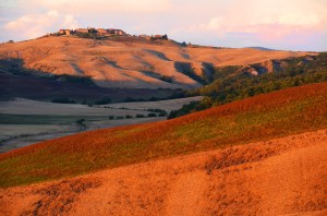 Tuscany-redgrass-2