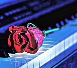 541733_362108053897840_1571494761_n