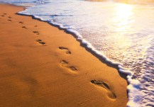 beach, wave and footsteps at sunset time
